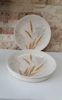 ظروف ملامین