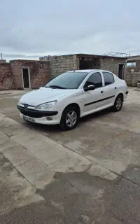 206 وی 8 فول سفارشی بالوازم