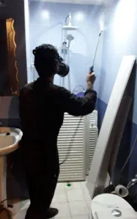 دفع حشرات خانگی