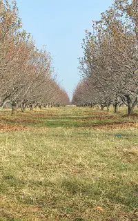 کارگر نیروی کار الاخ دسته کارگر ماهر