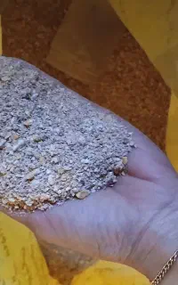 دان مرغ /خوراک مرغ