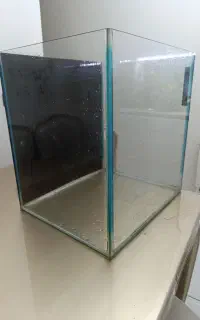 واگذاری اکواریوم