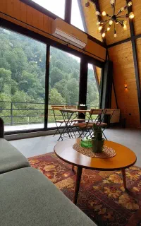 کلبه جنگلی دو خواب جکوزی دار با ویوی بهشتی