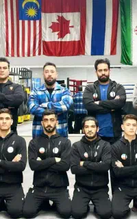 آموزش mma به صورت تخصصی