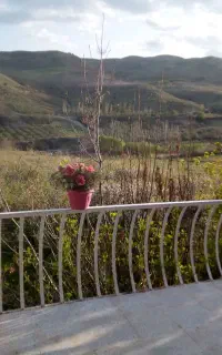 اجاره کوتاه مدت ویلا گلدشت