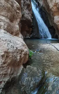 تور گردشگری
