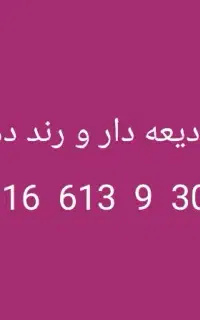 خط ودیعه دار و رند دهه ۸۰
