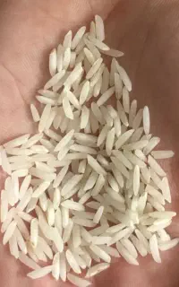 برنج لاشه دمسیاه خوش عطرو طعم