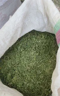 فروش سه گونی یونجه