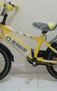 دوچرخه ۱۶
