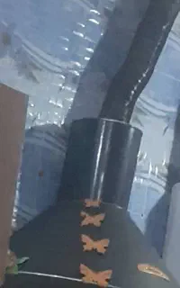 هود