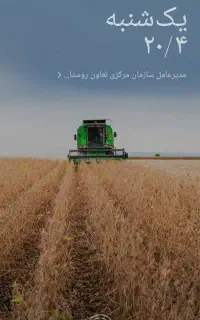 کاه گندم