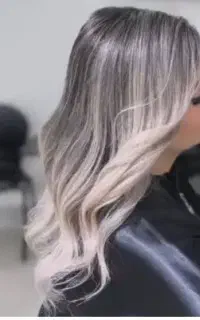 برا تکمیل البوم کاری چند مدل مو نیاز دارم
