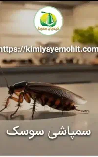 سمپاشی شرکتی و تضمینی سوسک ساس کنه کک(سم پاشی)