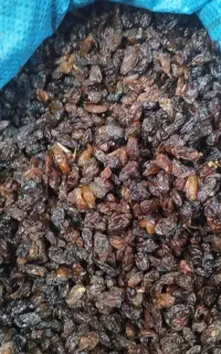 کشمش آفتابی امسالی شهددار