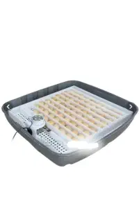 دستگاه جوجه کشی اژاکس