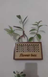 سرویس میشم