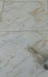 کاشیکاری سیمانکاری گچکاری
