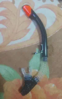 اسنورکل شنا