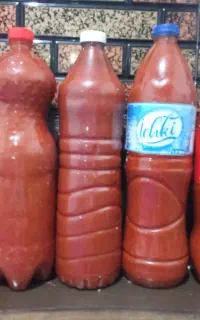 رب خانگی