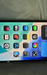 iPhone 11normal