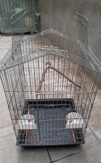 قفس بزرگ وضخیم سالم