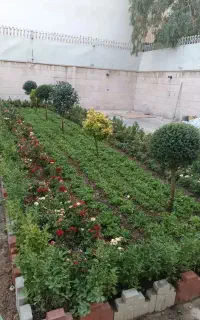 کلیه خدمات باغبانی با سابقه بالا