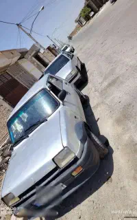 پیکی انژکتور کم کار خونگی