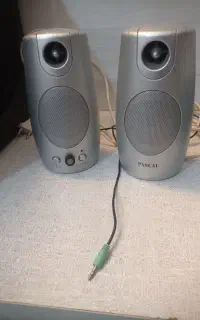 بلندگو سالم