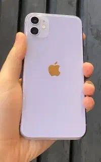 11نرمال کلکسیونی