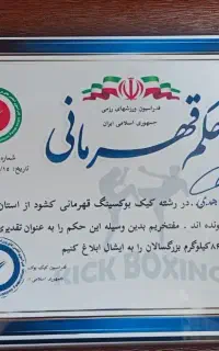 اکادمی بوکس احسان زاهدی