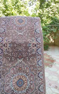 کناره  گردویی