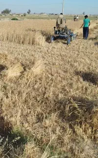 یک دستگاه درو گر  ایتالیایی اصل