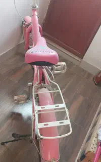 دوچرخه20دخترونه