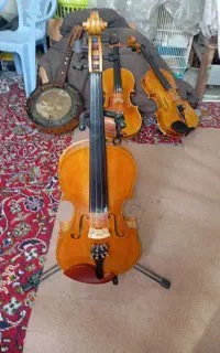 ویلن بازسازی شده