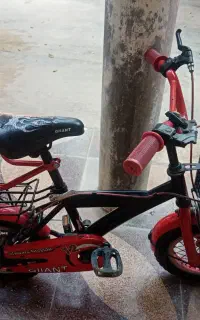 دوچرخه 12