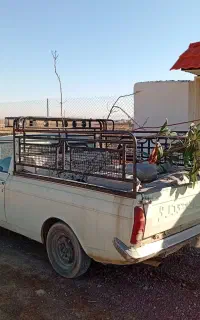 خدمات باغ وباغچه ودرختکاری