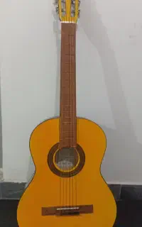 گیتار درحدنو