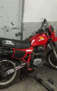 تریل ایکسل ۲۵۰  XL250