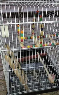 قفس پرنده به همراه ست بازی