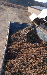 فروش وحمل کود گاوی ومرغی وگوسفندی