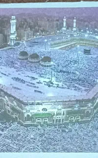 فیش مکه عمره