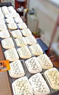 تعمیرات تخصصی مودم adsl سیمکارتی فیبر تعمیر مودم