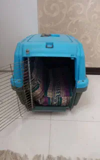 باکس سگ یا گربه