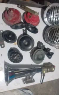 بوده یازده  بوق بادیوبوق معمولی