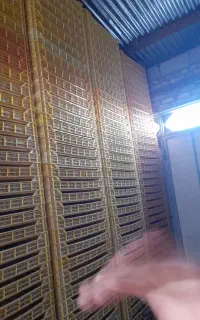 تبق پلاستیکی