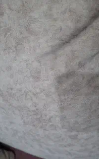 استخدام خانم