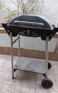 کباب پز حرفه ای با تنظیم سه حالته