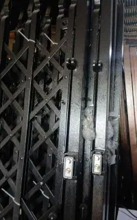 اکاردونی و حفاظ