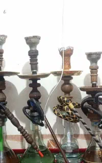 قلیان فروشی